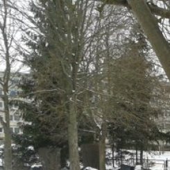20140117_144128_800x600.jpg