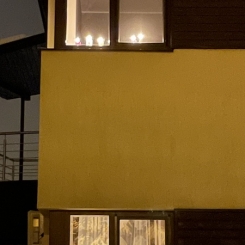 igno_foto2.jpeg
